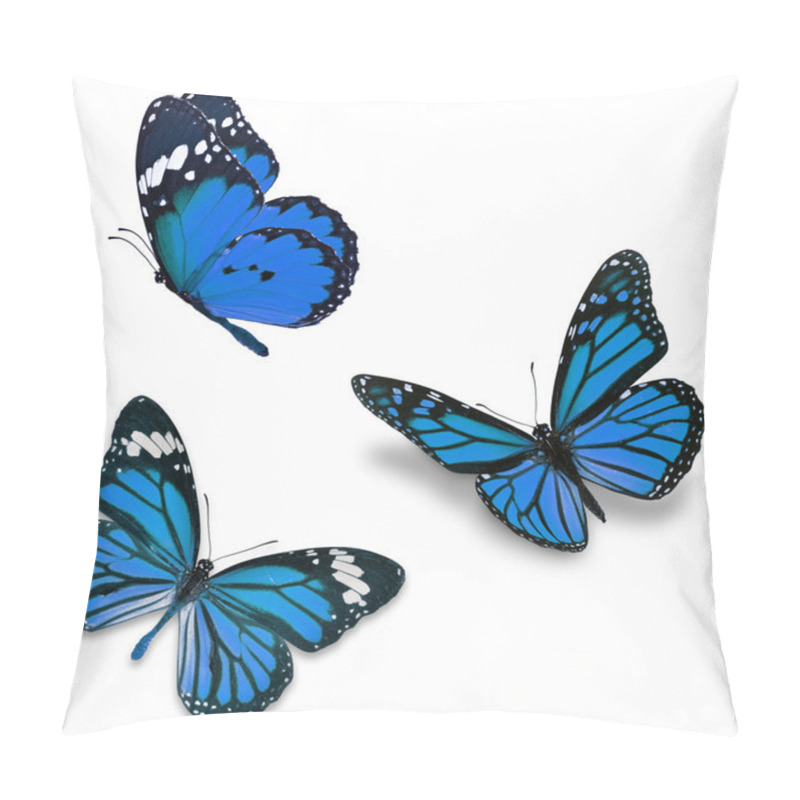 Personality  Three Blue Butterfly Pillow Covers