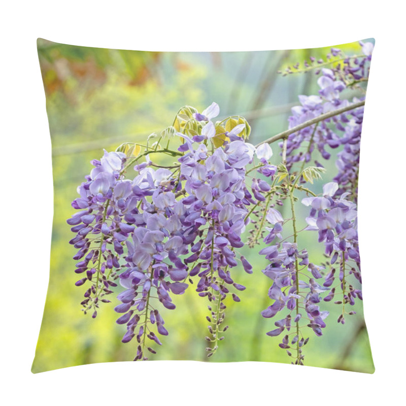 Personality  Branch Of Purple Wisteria On A Green Background Close-up Macro Selective Focus Pillow Covers