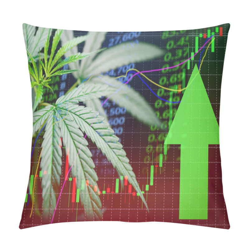 Personality  Business Marijuana Leaves Cannabis Stock Success Market Price Gr Pillow Covers