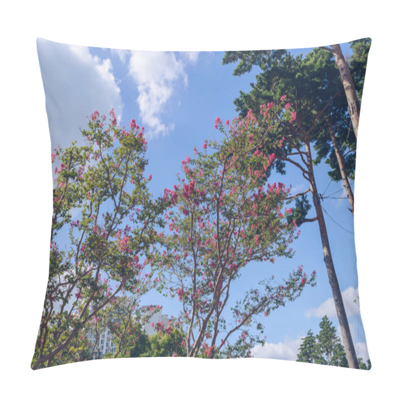 Personality  Blooming At Autumn Pink Crape Myrtle In Busan Citizens Park Pillow Covers