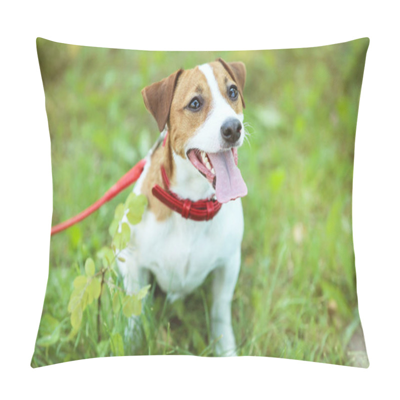 Personality  Beautiful Jack Russell Terrier Dog In The Park Pillow Covers