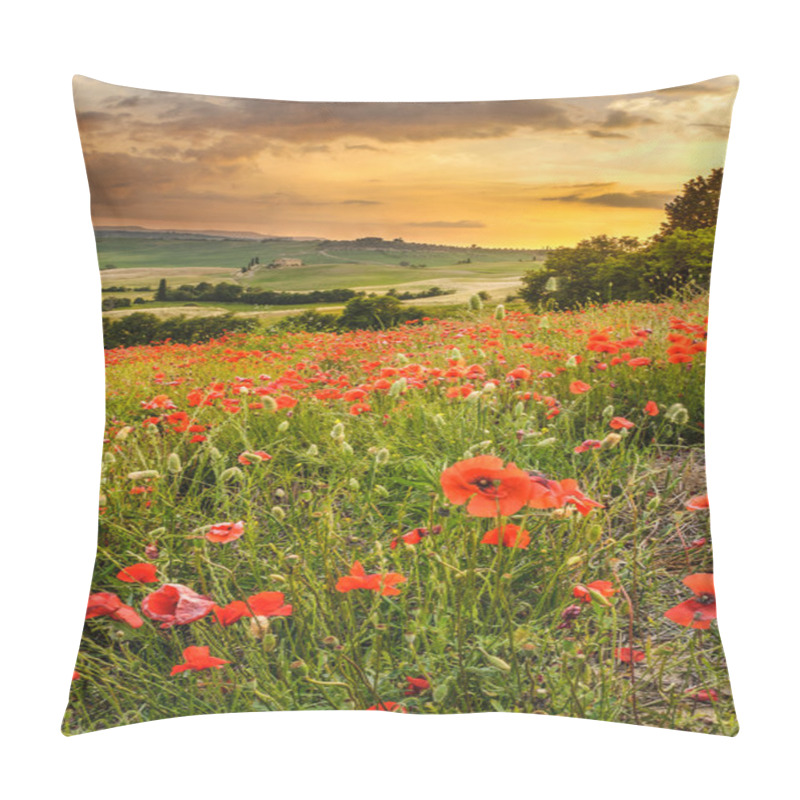 Personality  Poppies In The Tuscan Hills With A Beautiful Sunset, Pienza, Ita Pillow Covers