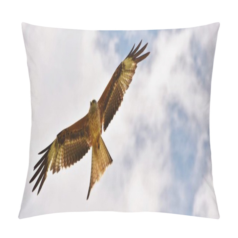 Personality  The Red Kite Pillow Covers