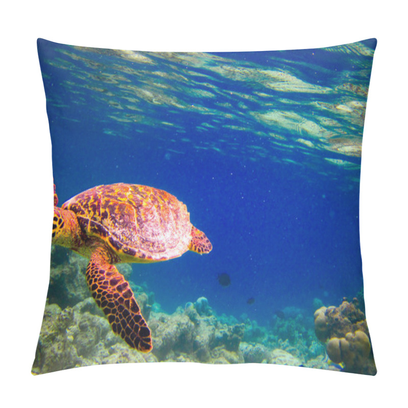 Personality  Hawksbill Turtle Swiming Like Flying Pillow Covers