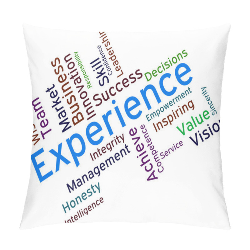 Personality  Experience Words Shows Competency Proficient And Professionally Pillow Covers