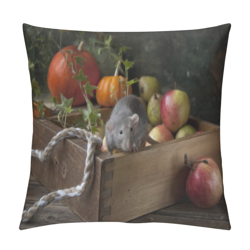 Personality  Cute Little Gray Dumbo Rat Sits In The Wooden Box With Fresh App Pillow Covers