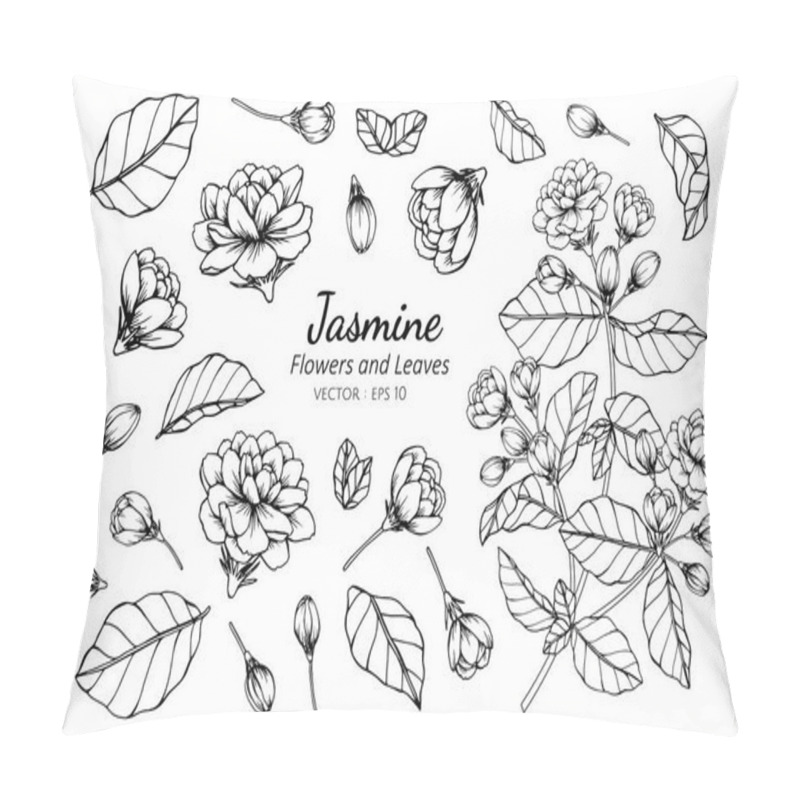 Personality  Collection Set Of Jasmine Flower And Leaves Drawing Illustration Pillow Covers