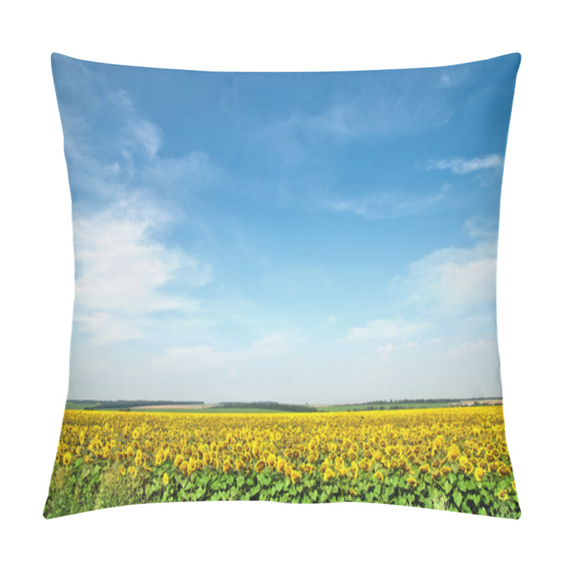 Personality  Sunflower Field Over Blue Sky Pillow Covers