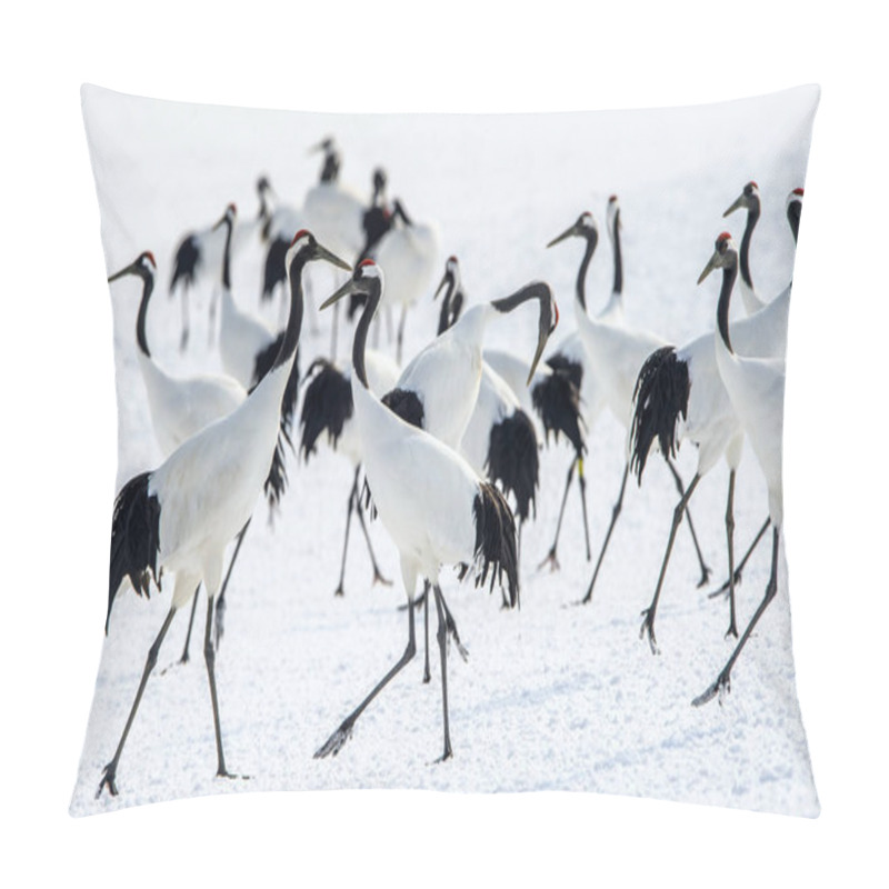 Personality  The Red-crowned Cranes. Scientific Name: Grus Japonensis, Also Called The Japanese Crane Or Manchurian Crane, Is A Large East Asian Crane. Japan. Pillow Covers