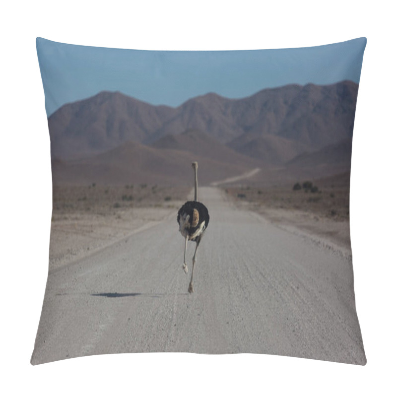 Personality  Frightened Thick Ostrich Running With High Speed Along The Road In Namibia Desert Pillow Covers