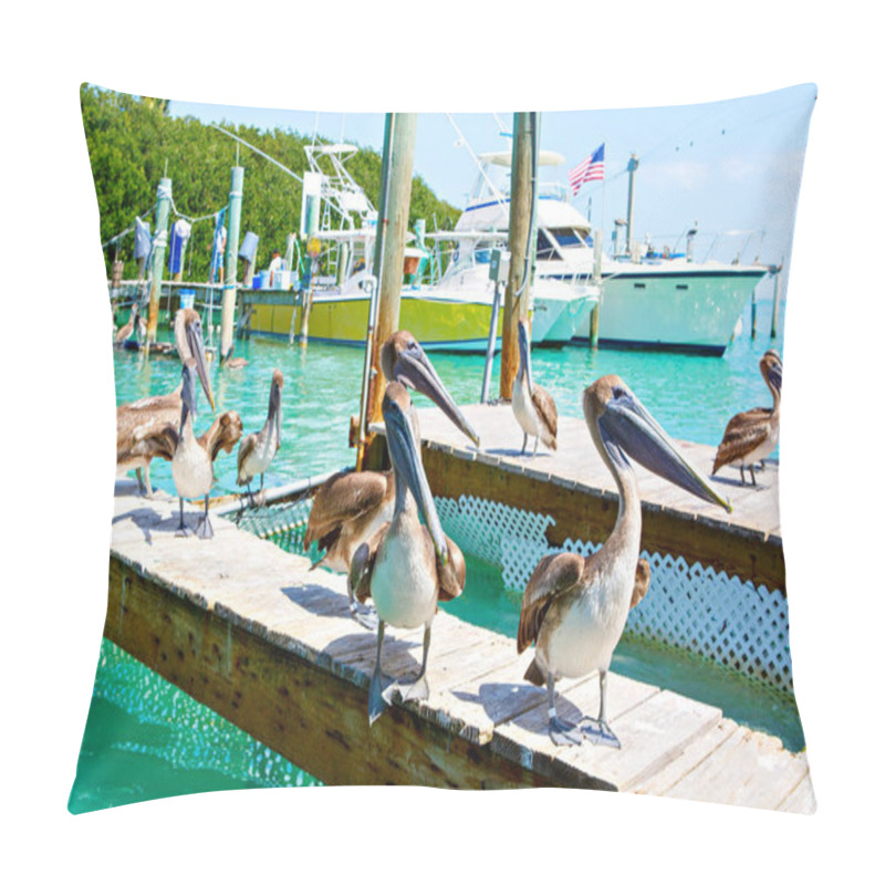 Personality  Big Brown Pelicans In Islamorada, Florida Keys Pillow Covers