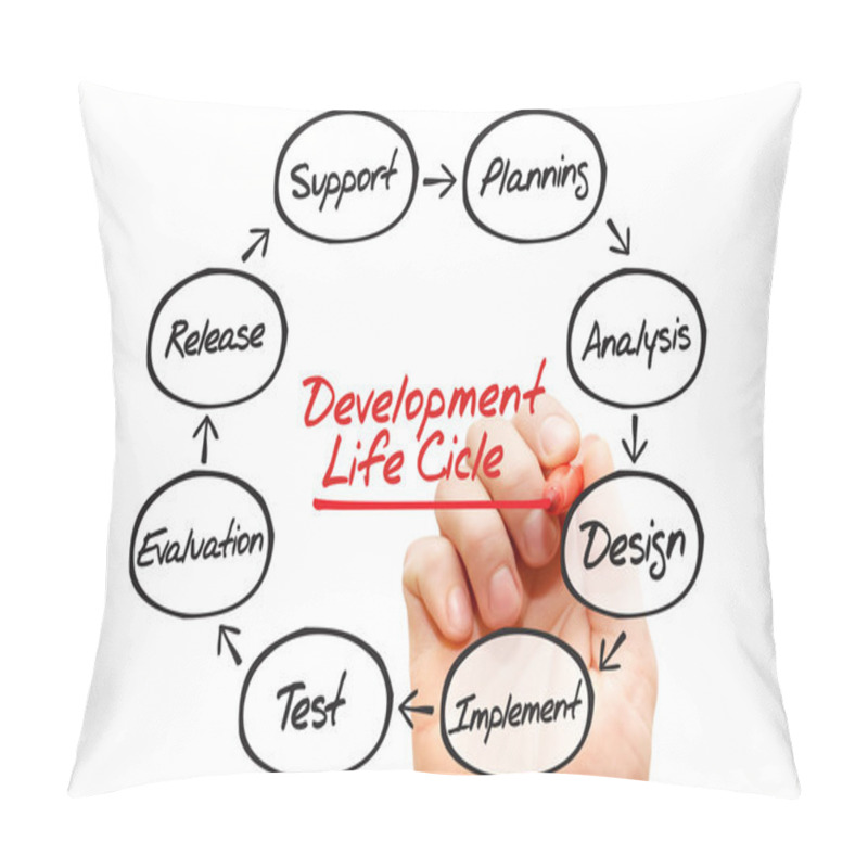 Personality  Development Process Pillow Covers