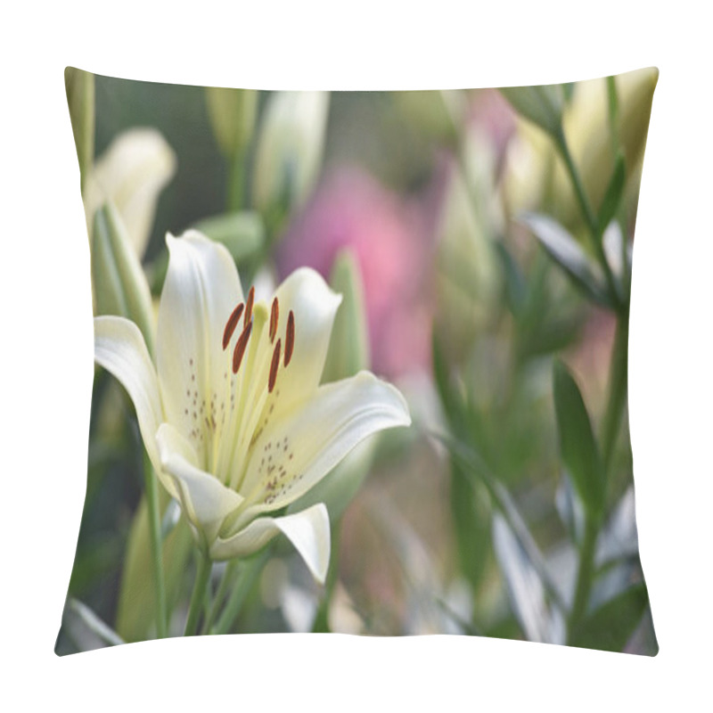 Personality  Lilium. White Lily Field. Beautiful Lily Flower, Close-up. Delicate White Lilies In The Garden, In The Flowerbed. Floral Background. Blurred Green Natural Background. Summer Garden Pillow Covers