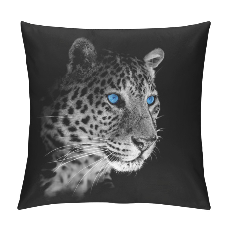 Personality  Close Up Beautiful Angry Big Leopard With Blue Eye Isolated On Black Background Pillow Covers