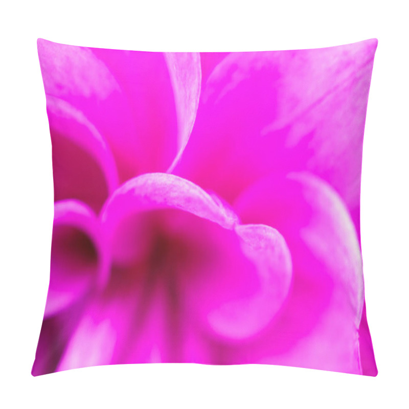 Personality  Pink Dahlia Flowers Closeup Background Pillow Covers