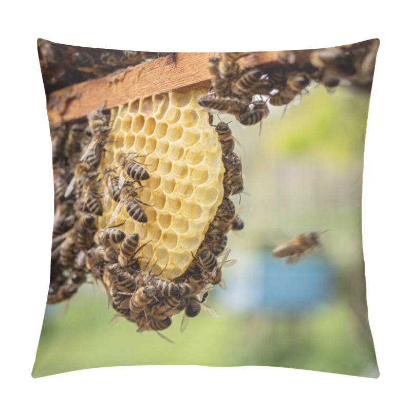 Personality  The Working Bees On Honey Cells In A Hive Pillow Covers