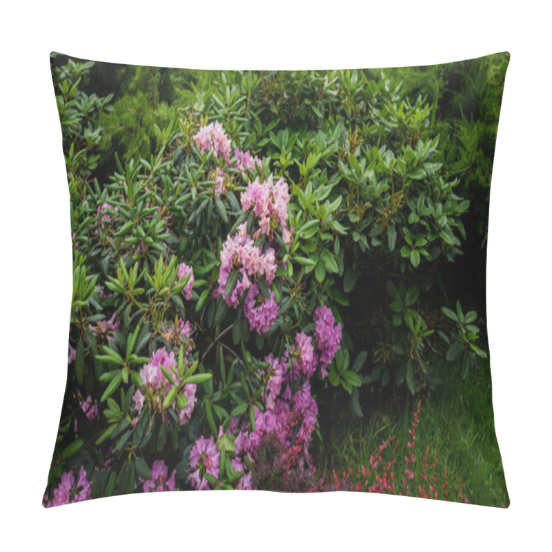 Personality  A Lush Garden Scene With A Vibrant Variety Of Plants: A Foreground Of Reddish-purple Shrubs, A Lawn Of Rich Green Grass, And Flourishing Rhododendrons With Pink Blossoms Against Dark Green Foliage Pillow Covers