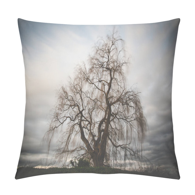 Personality  Long Exposure Image Over An Old Weeping Willow Tree Pillow Covers