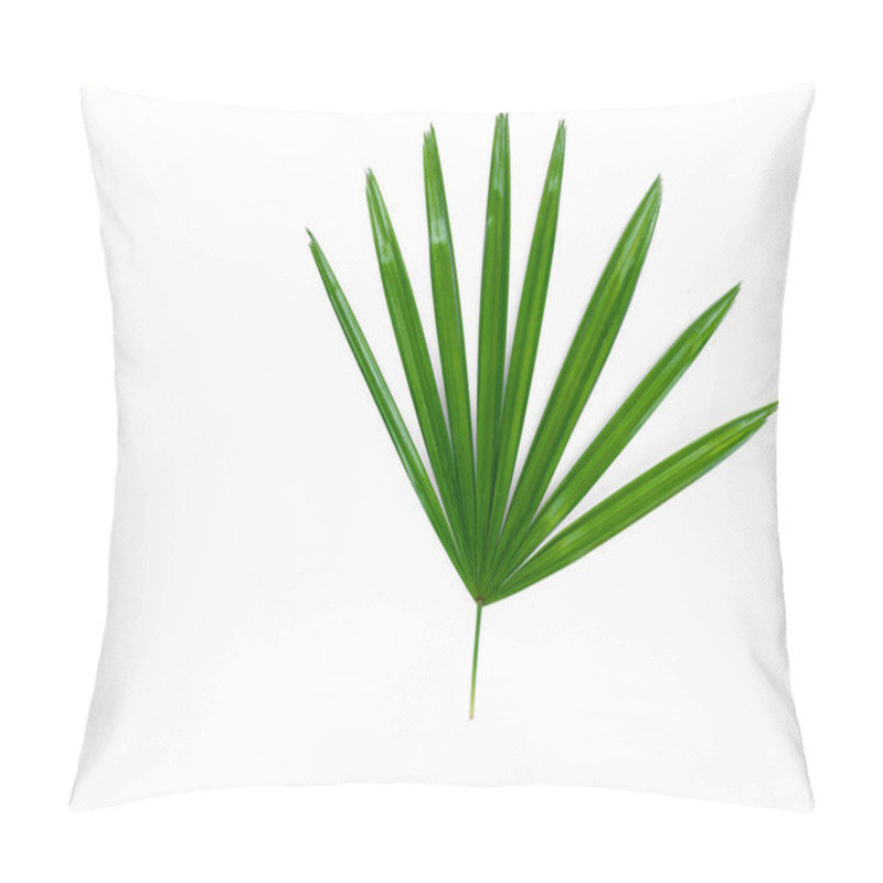 Personality  Green Lady Palm Leaf Close Up  On Surface Isolated  White Background Pillow Covers