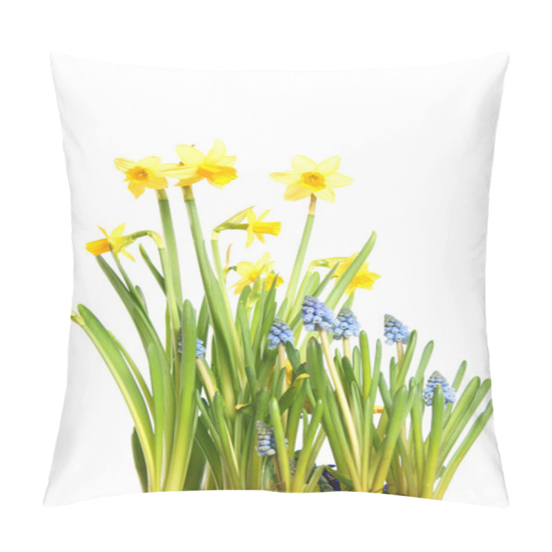 Personality  Daffodils Pillow Covers