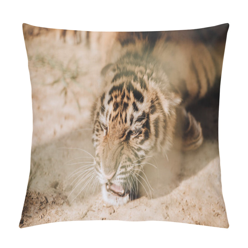 Personality  Close Up View Of Cute Tiger Cub At Zoo Pillow Covers