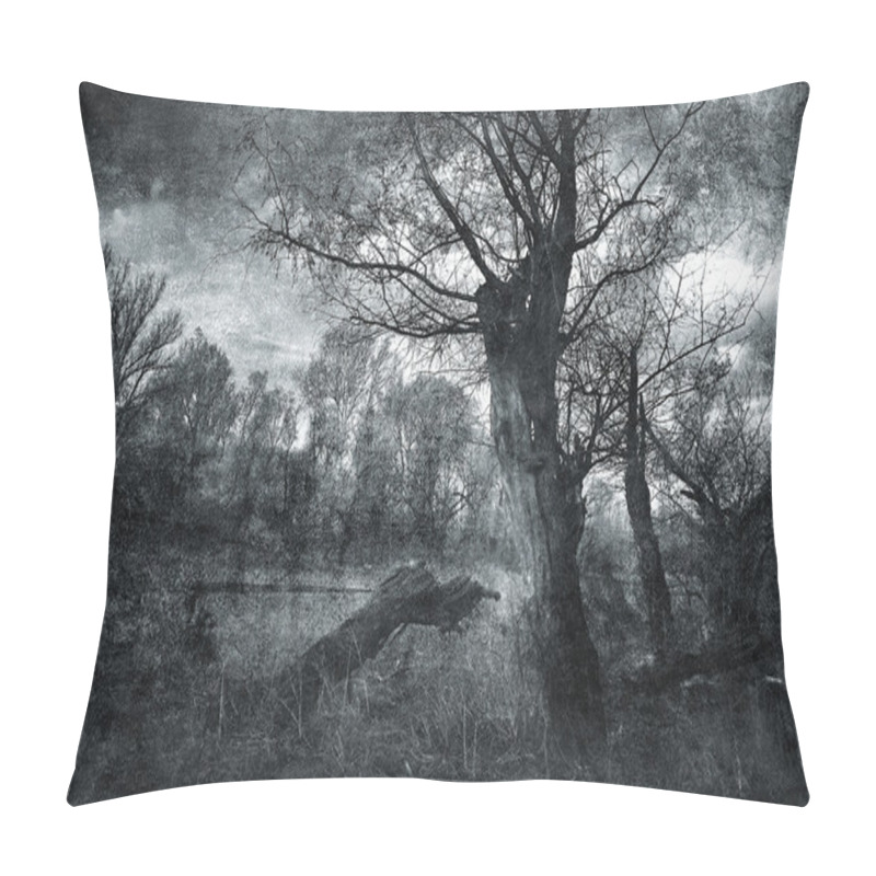 Personality  Creepy Art Grunge Landscape In Black And White Pillow Covers