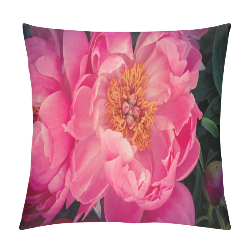 Personality  Pink Peony Petals Floral Flower Closeup Pillow Covers