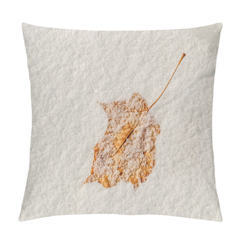 Personality  Sunlit Leaf In The Snow  Pillow Covers