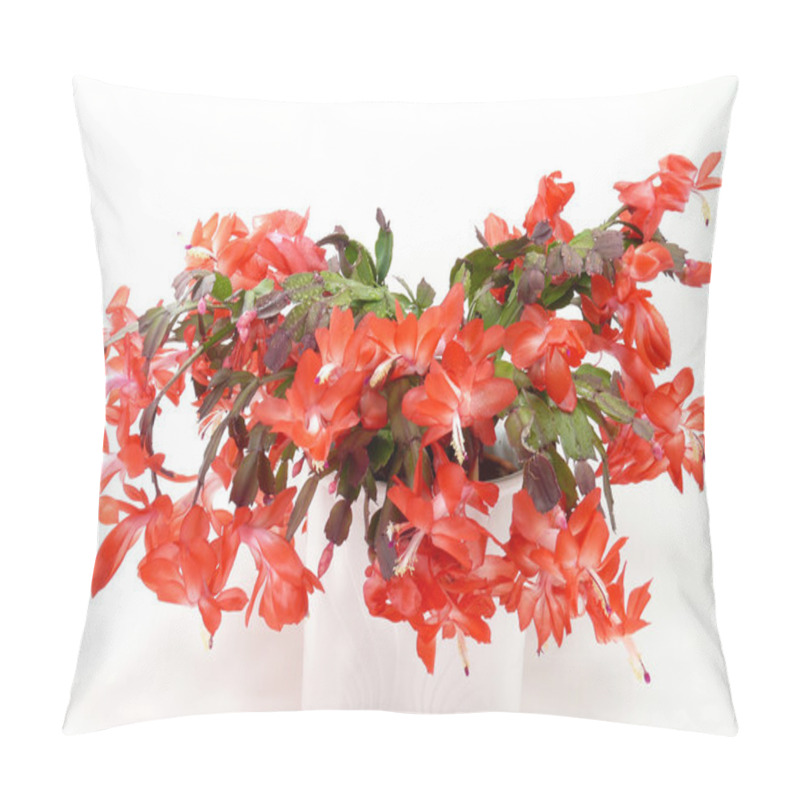 Personality  Christmas Cactus Power Flower Pillow Covers