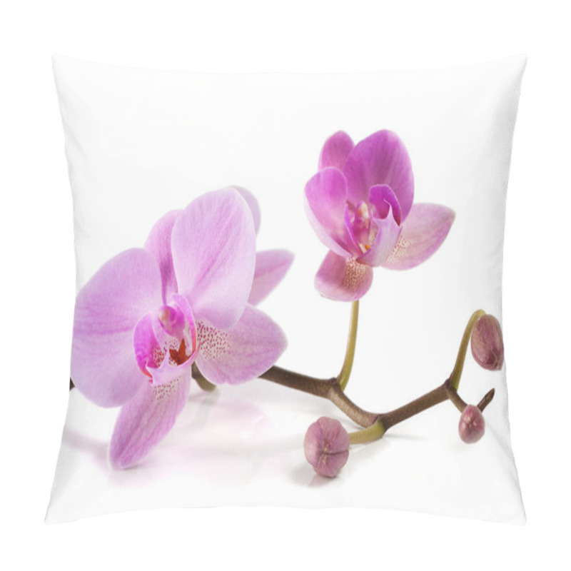 Personality  Orchid Flowers. Spa. Beautiful Floral Background Pillow Covers