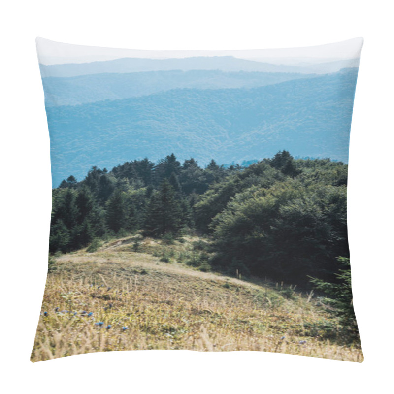 Personality  Selective Focus Of Mountains With Green Trees Against Sky Pillow Covers