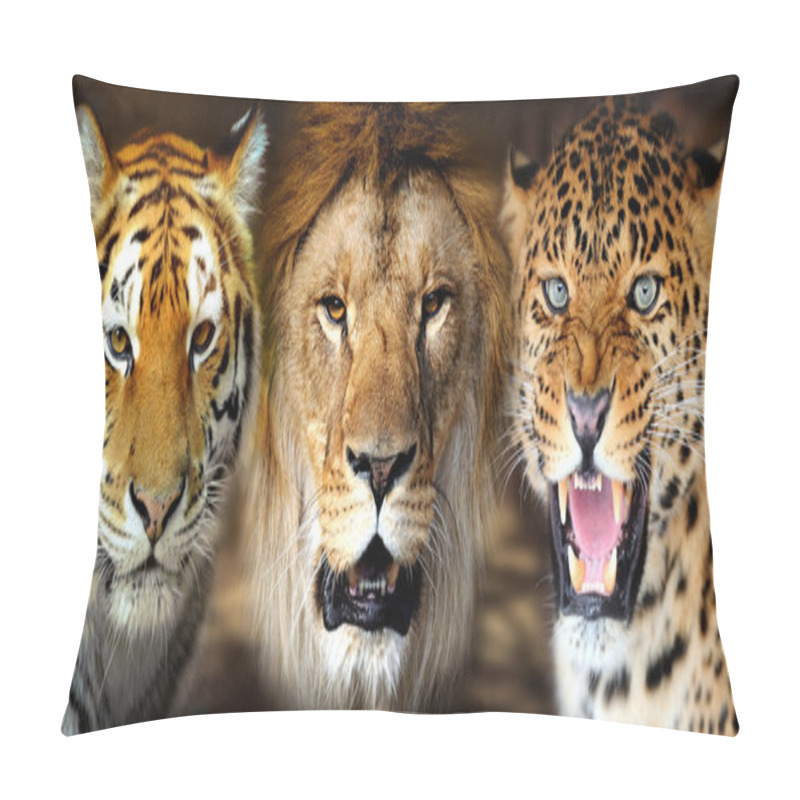 Personality  Tiger, Lion, Leorard Pillow Covers