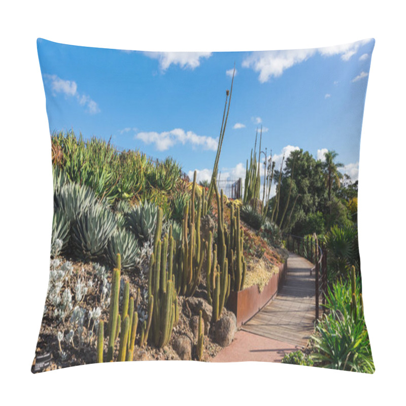 Personality  Melbourne, Australia - May 5, 2018: Guilfoyle's Volcano In The Royal Botanic Gardens Is Planted With Water Plants And Succulents. Pillow Covers