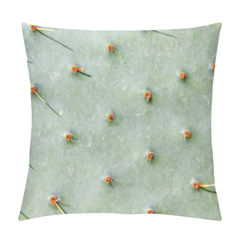 Personality  Green Cactus Surface Pillow Covers