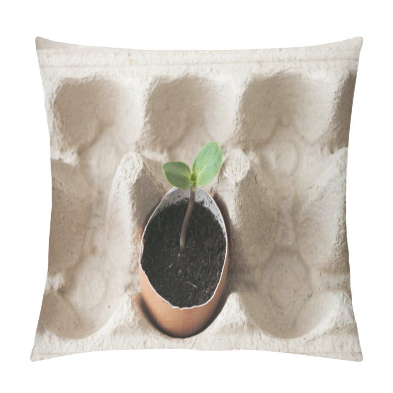 Personality  Planting Seeds In Eggshells, Save Ecology, Young Sprout. Home Gardening Permaculture Pillow Covers