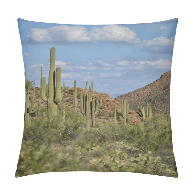 Personality  Grand Canyon Image Pillow Covers