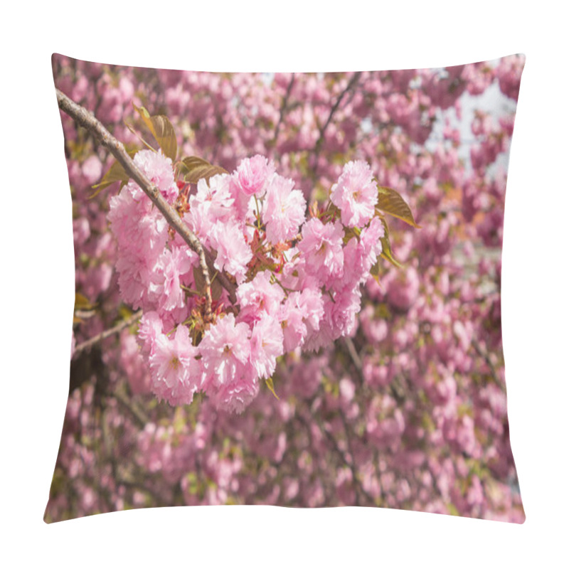 Personality  Pink Blossomed Sakura Flowers Pillow Covers