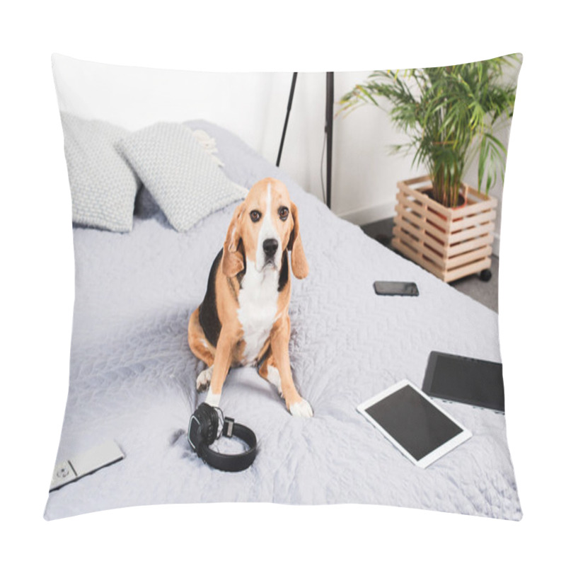 Personality  Dog With Digital Devices Pillow Covers