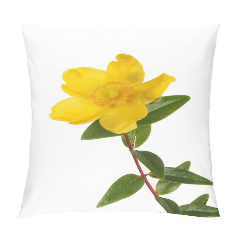 Personality  Hypericum Pillow Covers