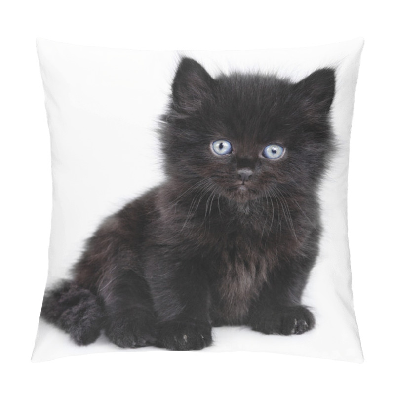 Personality  Black Little Kitten Sitting Down Pillow Covers