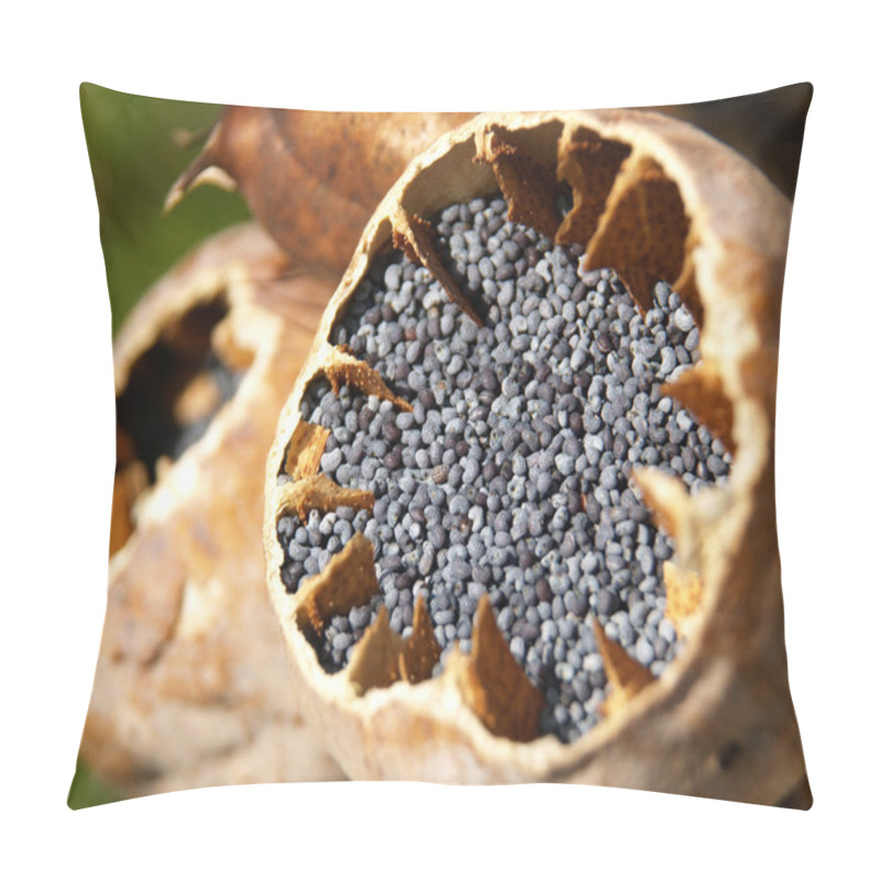 Personality  Close up of poppy seeds pillow covers