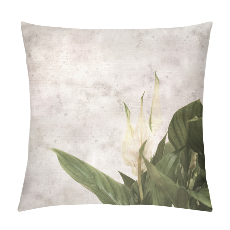 Personality  Textured Stylish Old Paper Background, Square, With Spathiphyllum, Peace Lily Pillow Covers