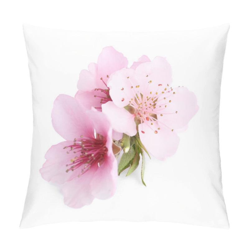 Personality  Beautiful Tree Blossom Isolated On White. Spring Season Pillow Covers