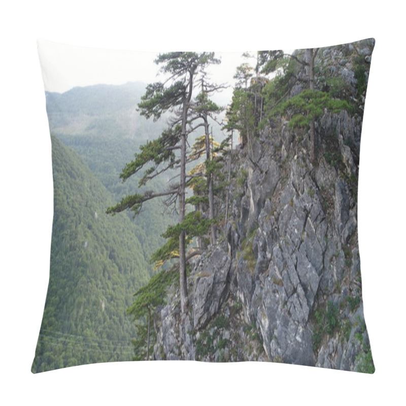 Personality  Pine Tree Forest In Wild Nature Mountains Early Morning Sunrise Pillow Covers