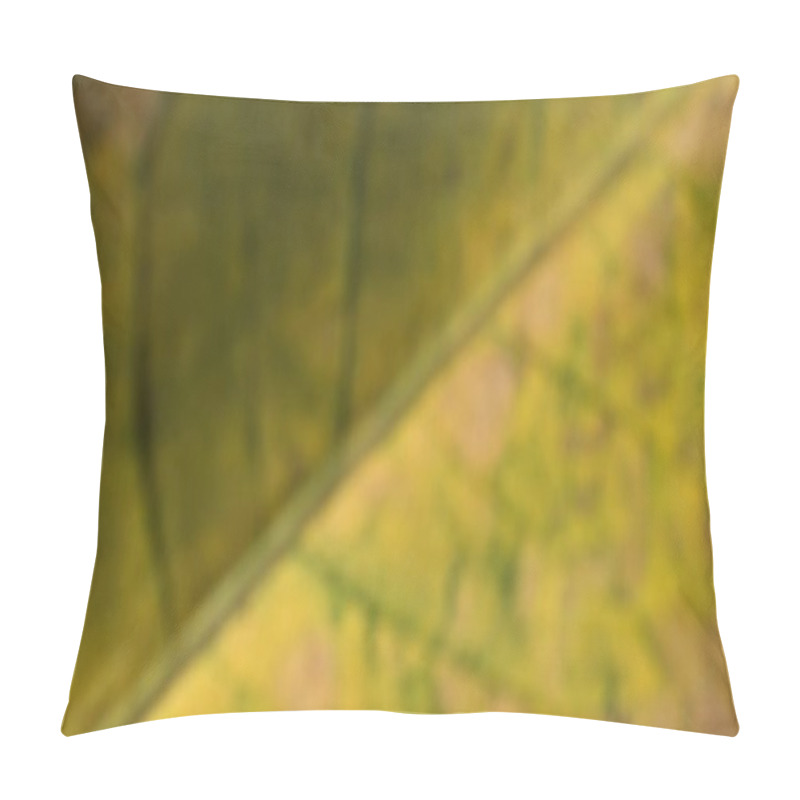 Personality  A Defocused View Of A Leaf With Blurred Shades Of Green And Yellow. The Details Are Indistinct, Creating An Abstract And Soft Appearance With Hints Of The Leaf's Veins And Structure. Pillow Covers