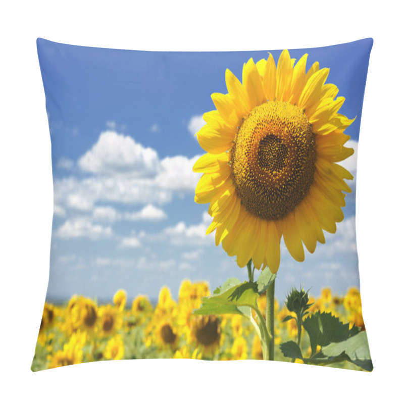 Personality  Sunflower Field Pillow Covers