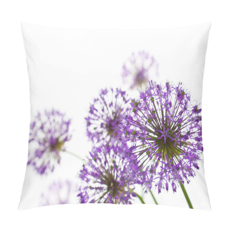 Personality  Beautiful Allium / Abstract On White Pillow Covers