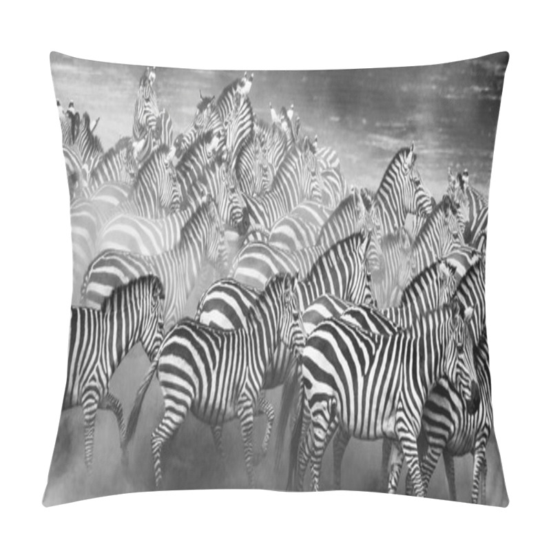 Personality  Zebras Herd In Its Habitat. Pillow Covers