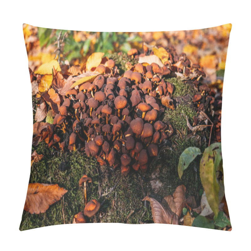 Personality  A Dense Cluster Of Wild Brown Mushrooms Growing On A Moss-covered Log, Surrounded By Colorful Autumn Leaves, Creating A Vibrant Woodland Scene Pillow Covers