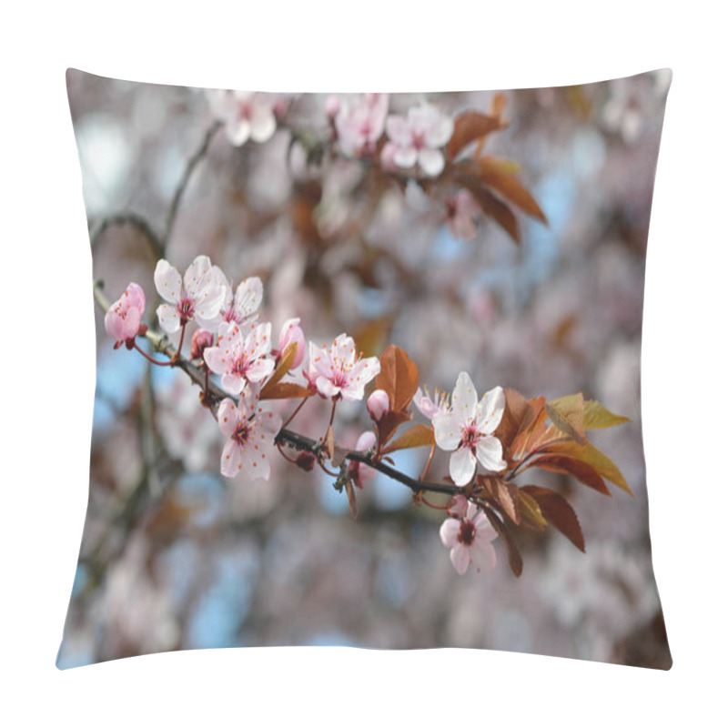 Personality  Branch Of A Blossoming Plum With Pink Petals In The Park Pillow Covers